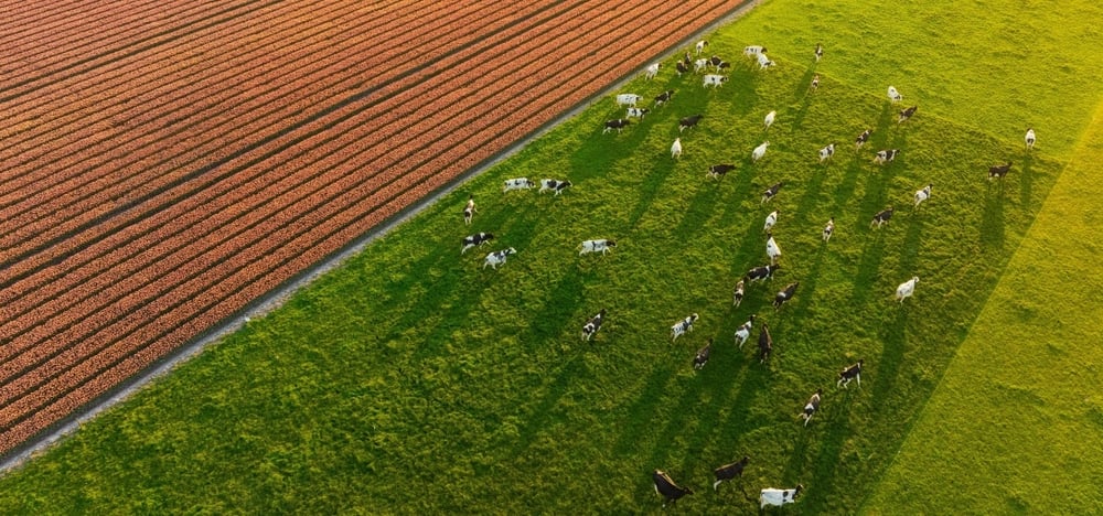 Food Security