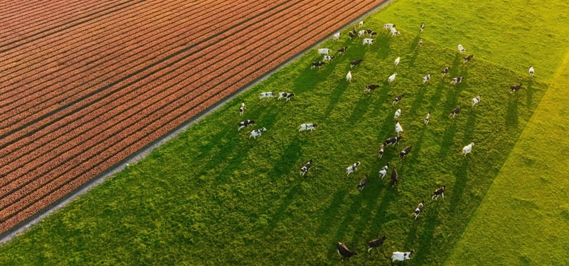 Food Security