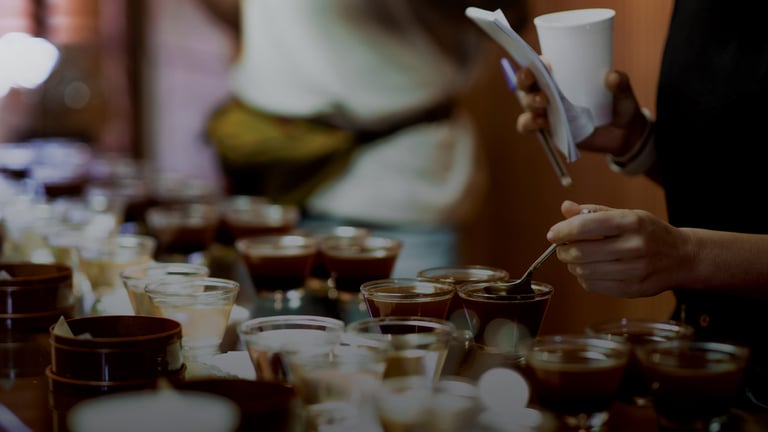Simalem Specialty Coffee Cupping Session