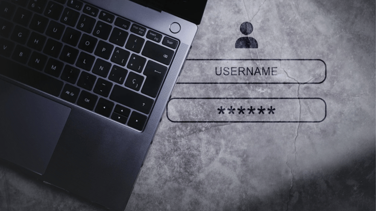 DMCC Member Portal Training