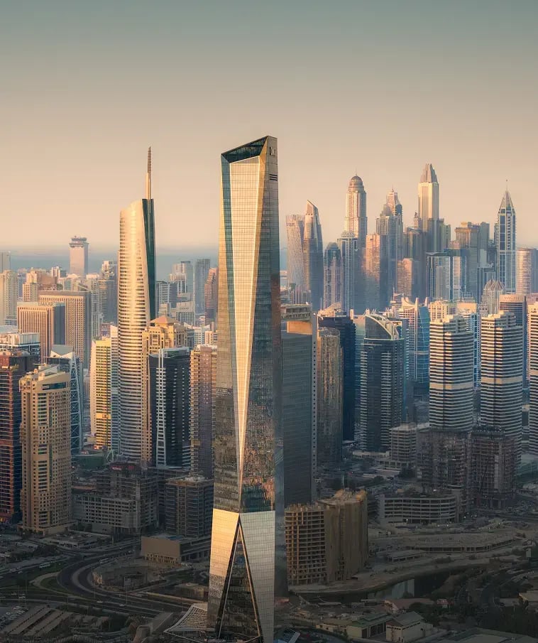 DMCC Annual Report 2025