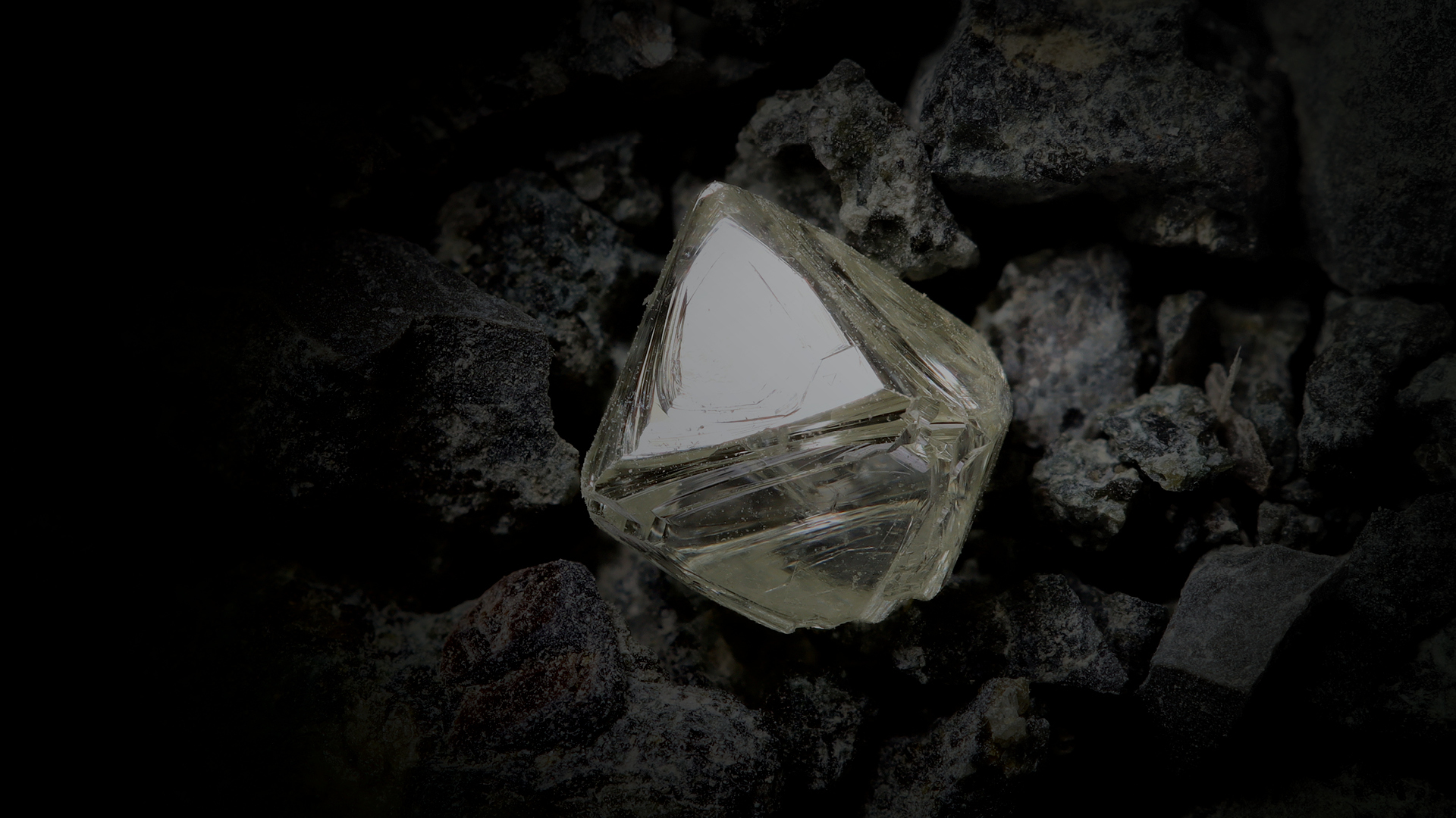 Trans Atlantic Gem Sales Rough Diamond Tender
